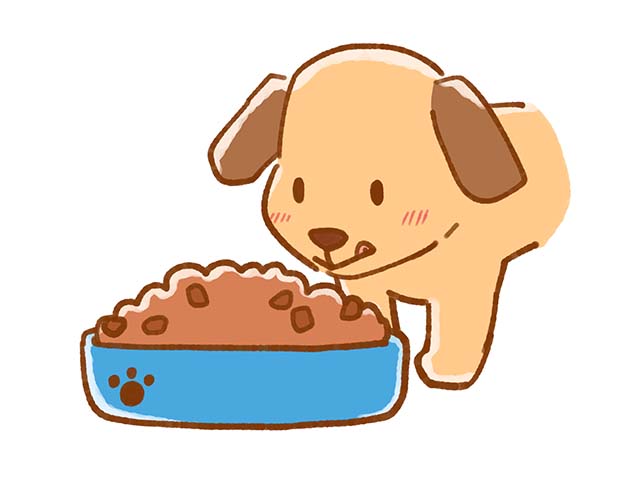 ドッグフードを食べる犬